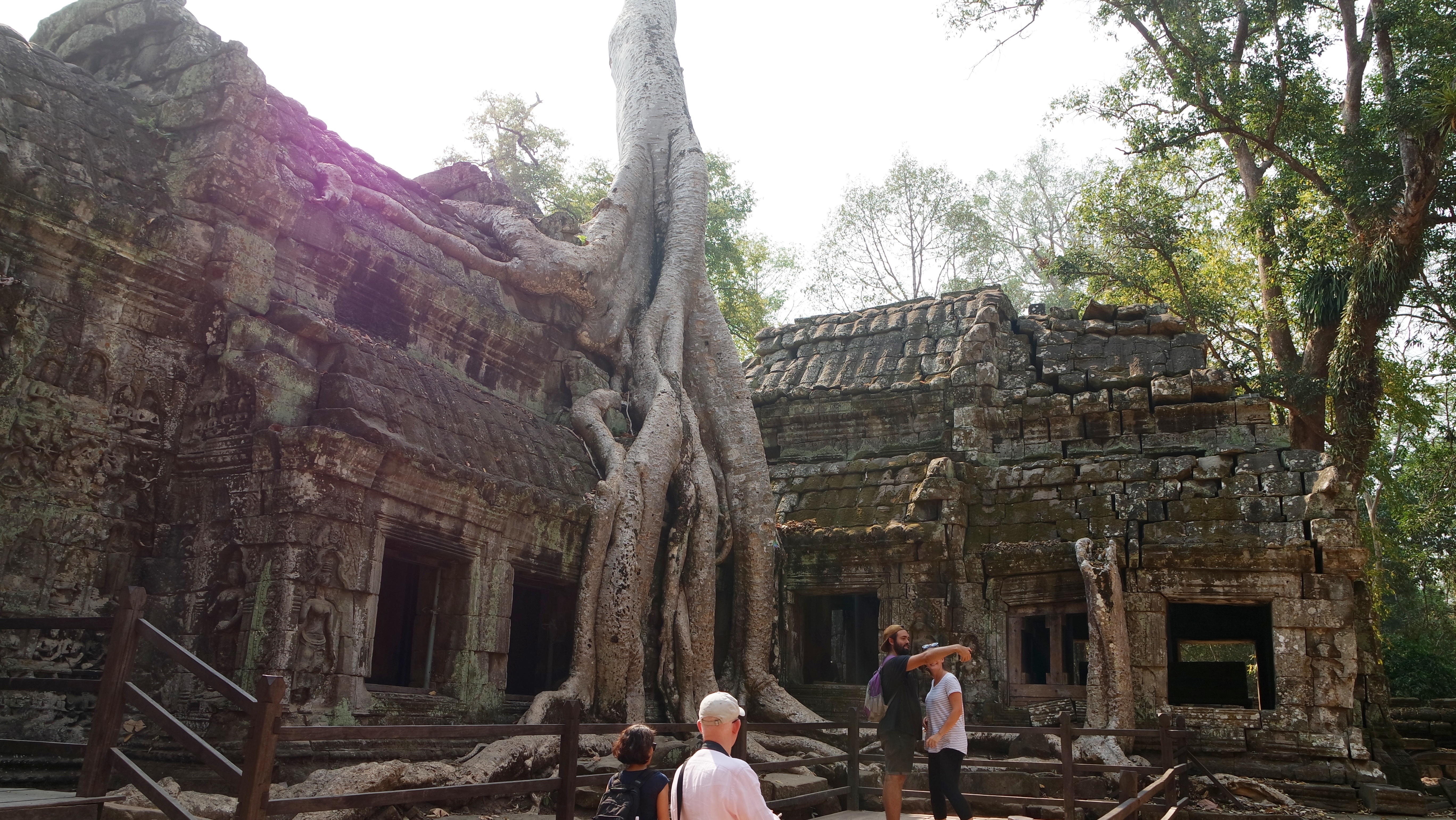 Ta Phrom Tapınağı